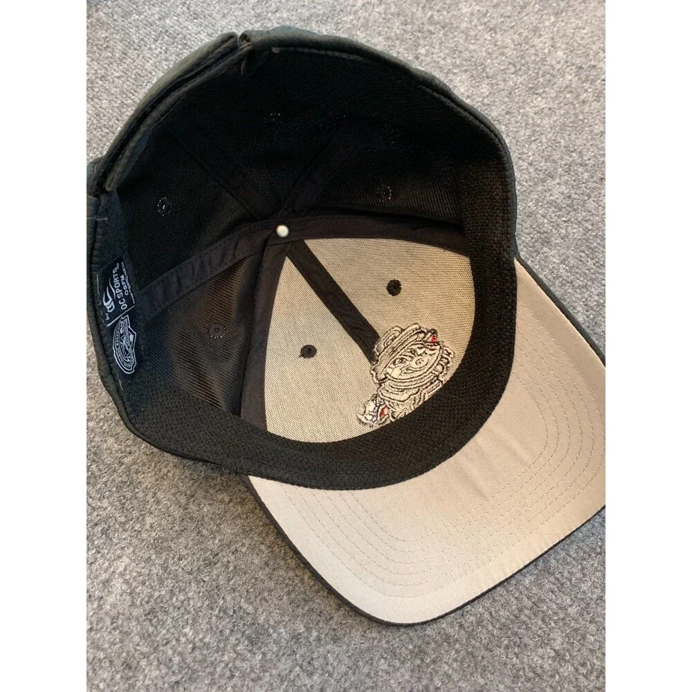 Rocket City Trash Pandas Cap One Size Adjustable Hat MLB Minor League Baseball - Picture 2 of 4